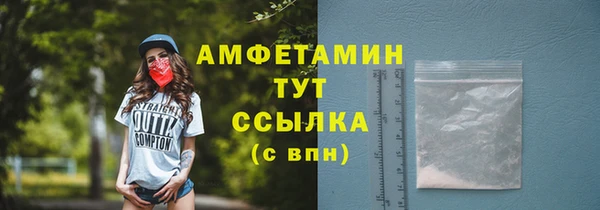 амф Каменногорск