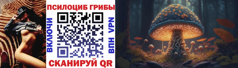 Купить где Суздаль Псилоцибиновые грибы мицелий