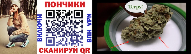 Шишки марихуана White Widow  Купить закладки  Суздаль 